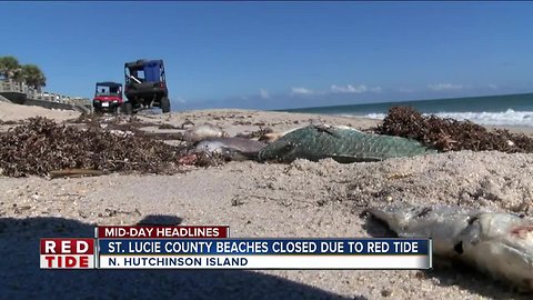 Red tide closes beaches in St. Lucie County