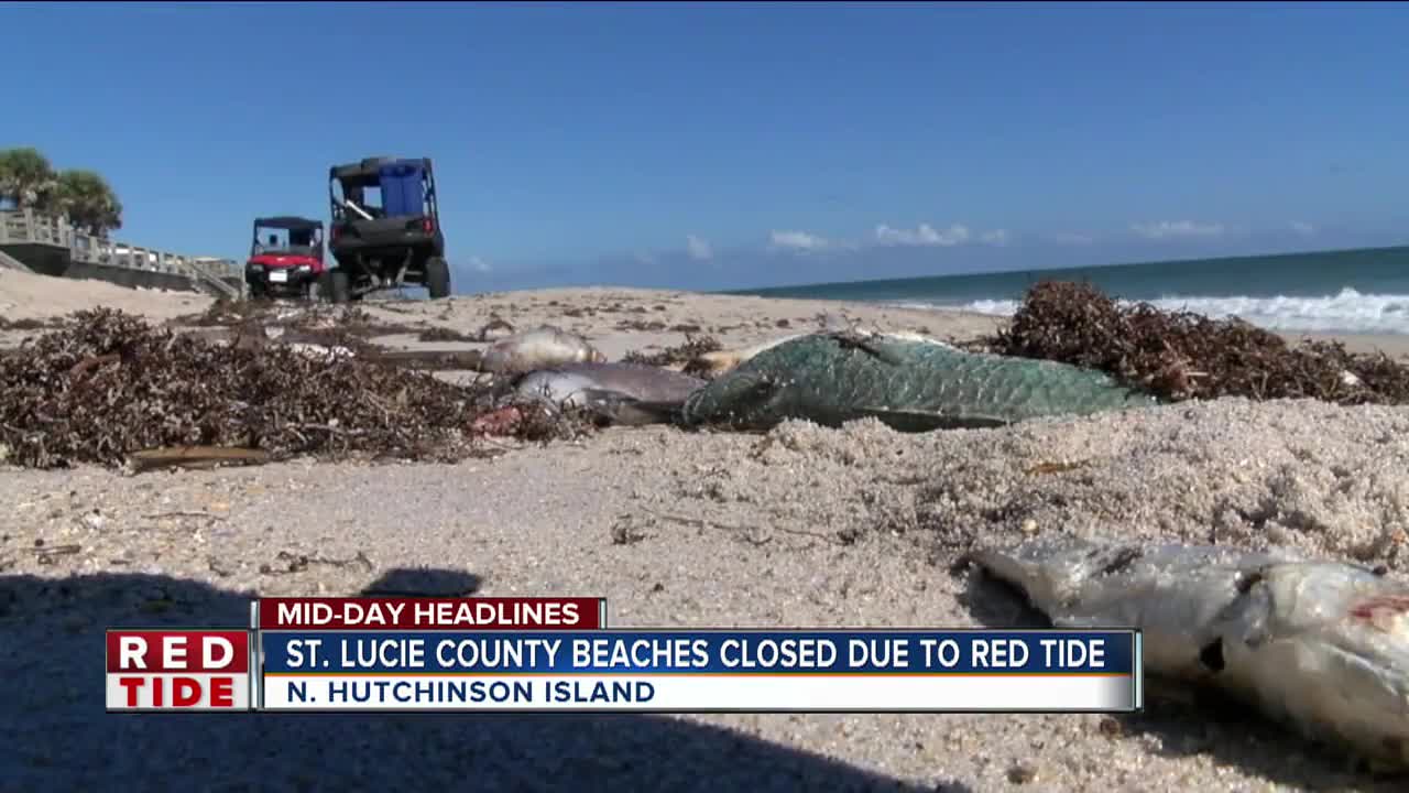 Red tide closes beaches in St. Lucie County