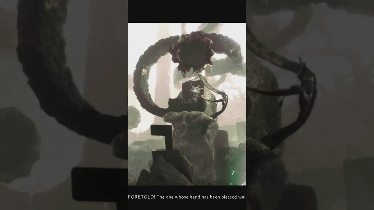 the beginning of the second imp brother boss fight in blacktail