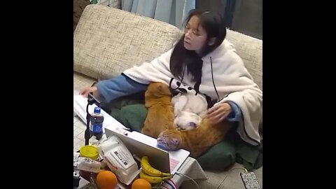 Working From Home Struggles