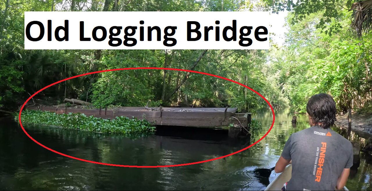 We Found An Old Logging Bridge In The Ocala National Forest