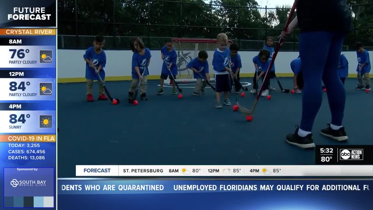 Ball hockey clinic happening in Tampa Friday