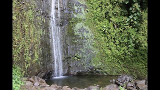 Moana Falls Trail Hike O'ahu re-opens! (June, 2021)