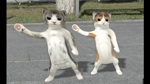 Dancing cats