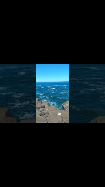 Rainbow spouting from Whale at Boiler Bay