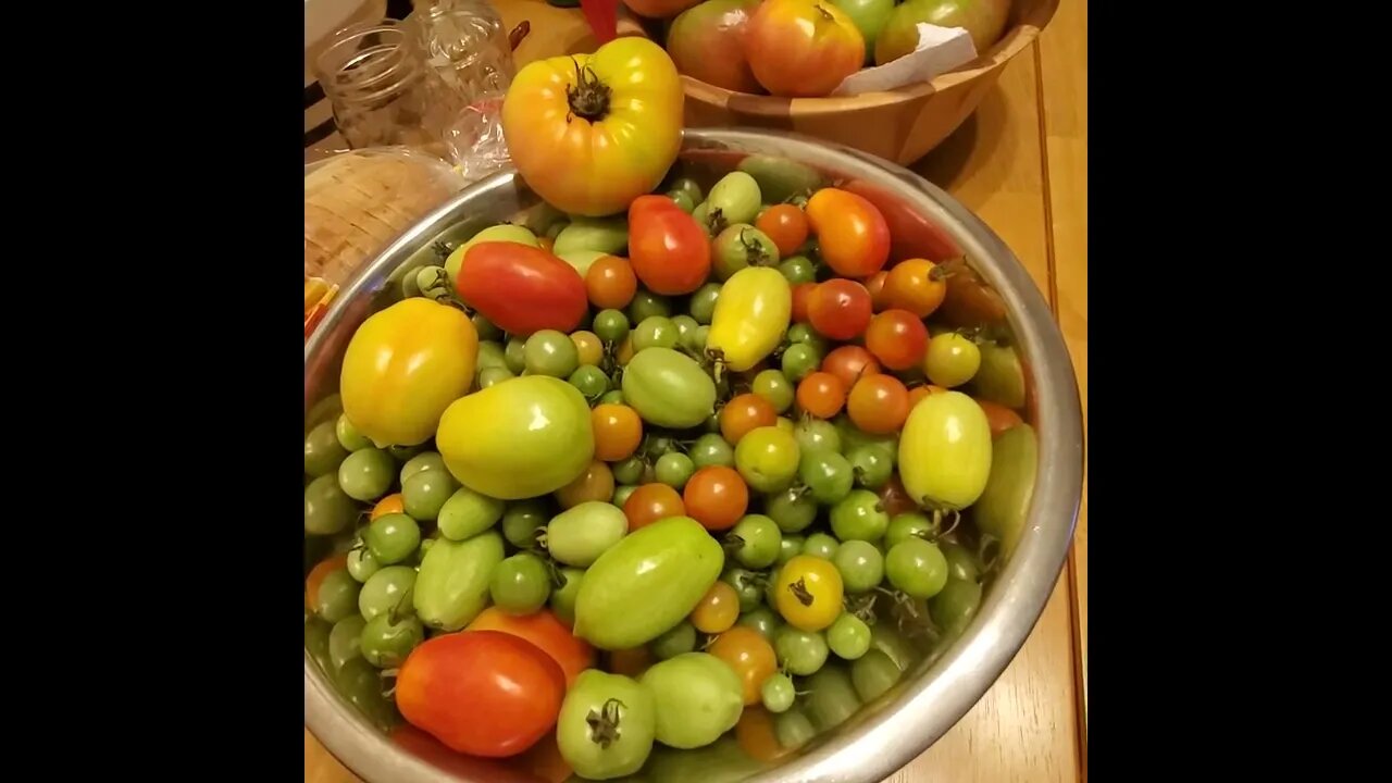 Dehydrating, canning and Salsa time! #shorts