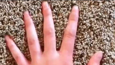 Elle relève son défi moquette haut la main !