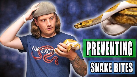 Why is my Snake Trying to Bite Me CONSTANTLY?!