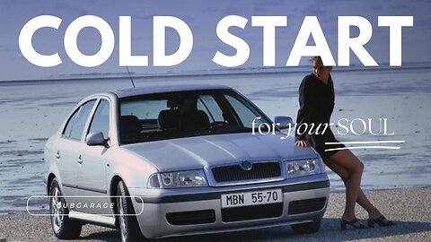 Skoda Octavia II Tdi cold start -6 c
