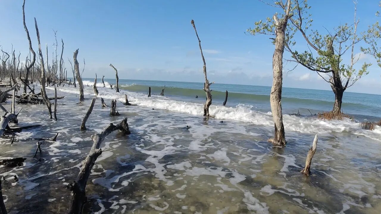 Fall Asleep to Beach Waves. Relax to the sights and sounds of a Gulf Coast Island.