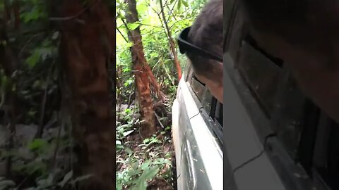 ABRINDO CAMINHOS #offroad #trilha #4x4 #moc #mg #acelerando #cachoeira #meme #viralvideo #shorts