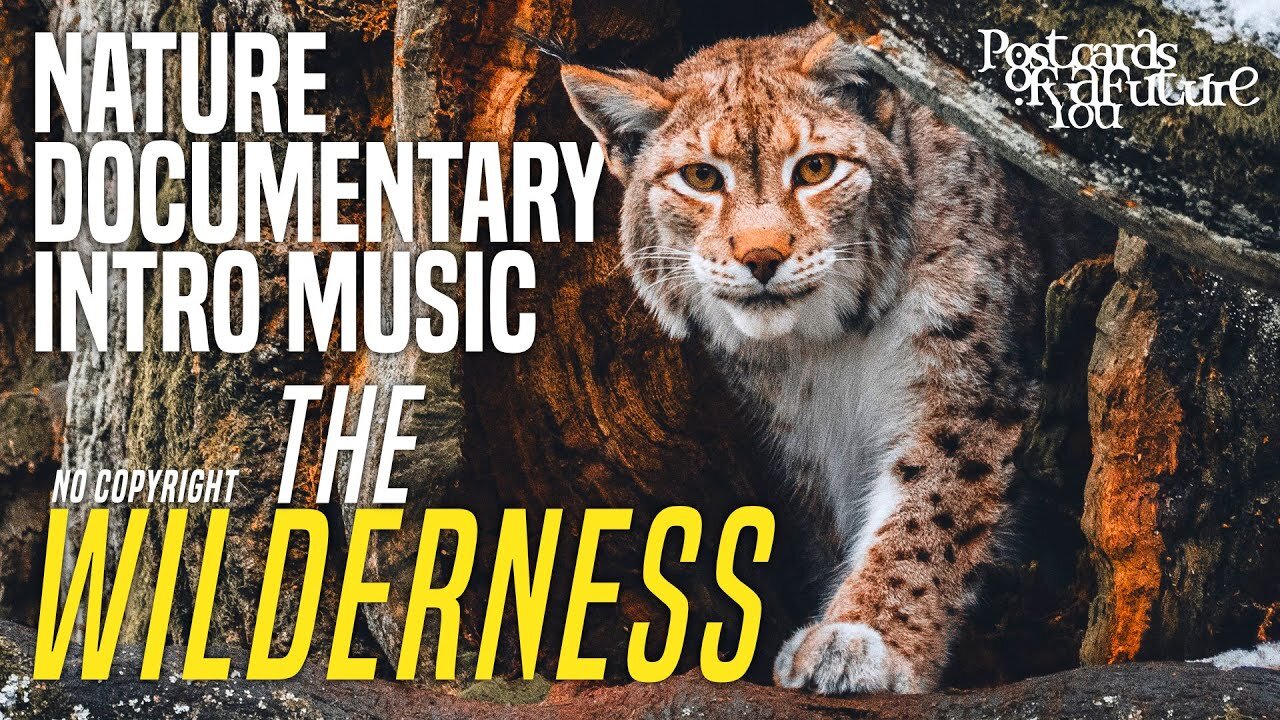 Nature Documentary Intro Music: The Wilderness - Wildlife Documentary Orchestral Music