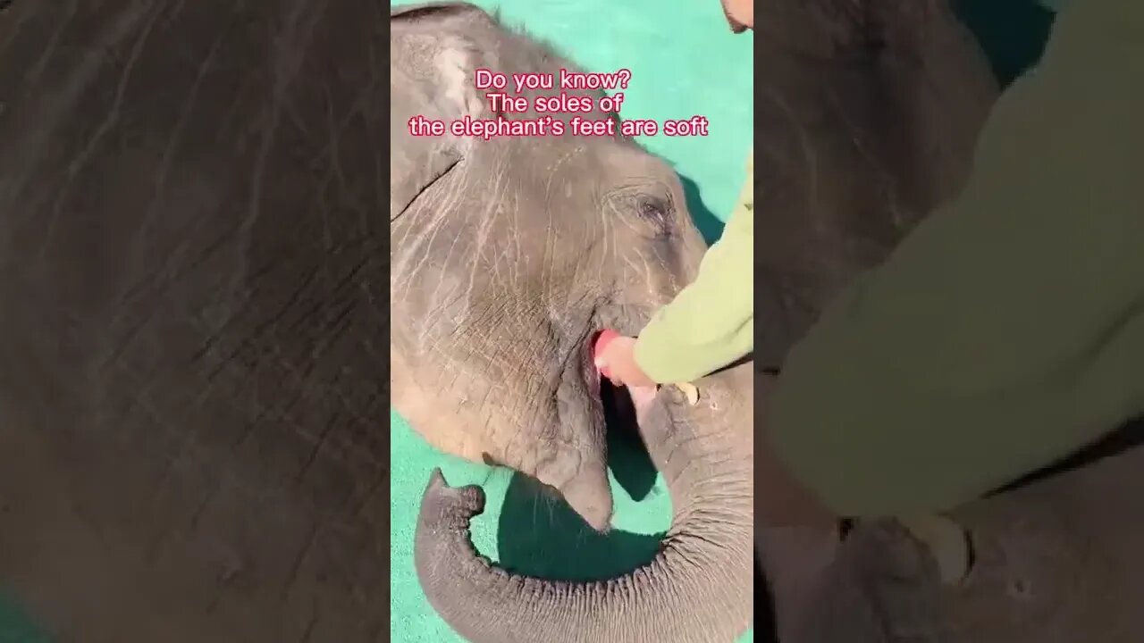 Soft feets 🔥#17 #shorts #satisfying #satisfyingvideo