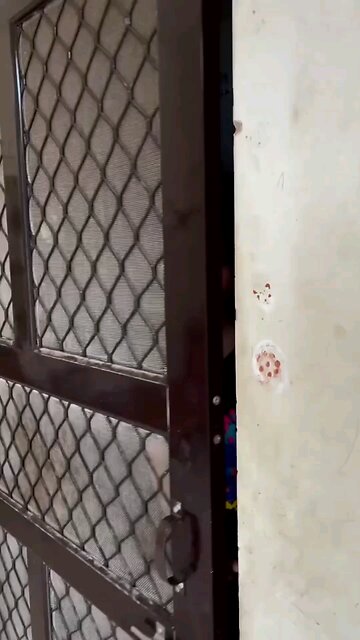 खिचड़ी या पुलाव. khichdi banau ya pilao