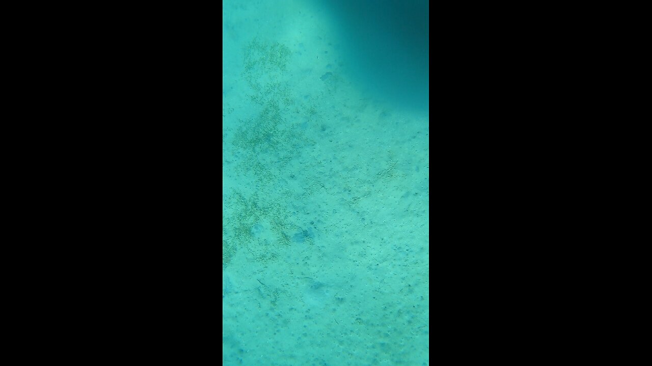 Red sea