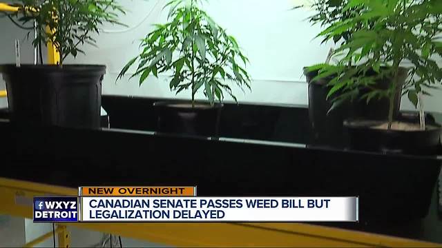 Should U.S. follow Canada's lead and legalize marijuana?
