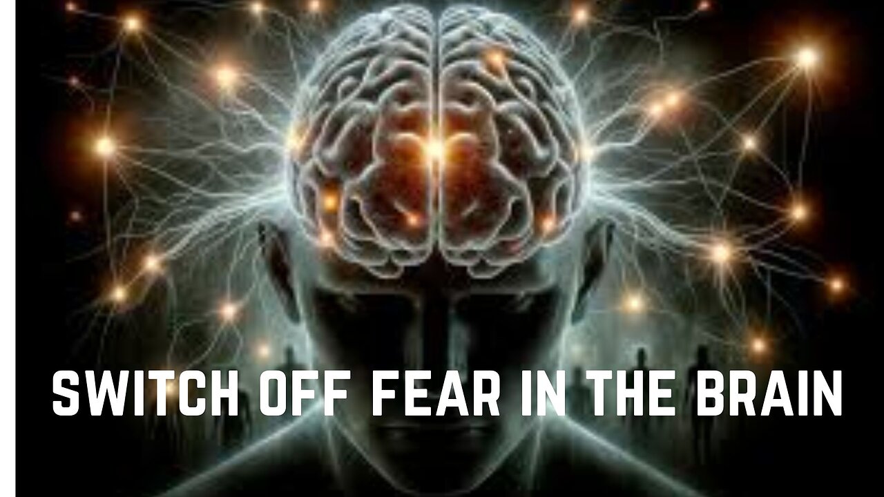 scientist discover a way switch off fear in the brain