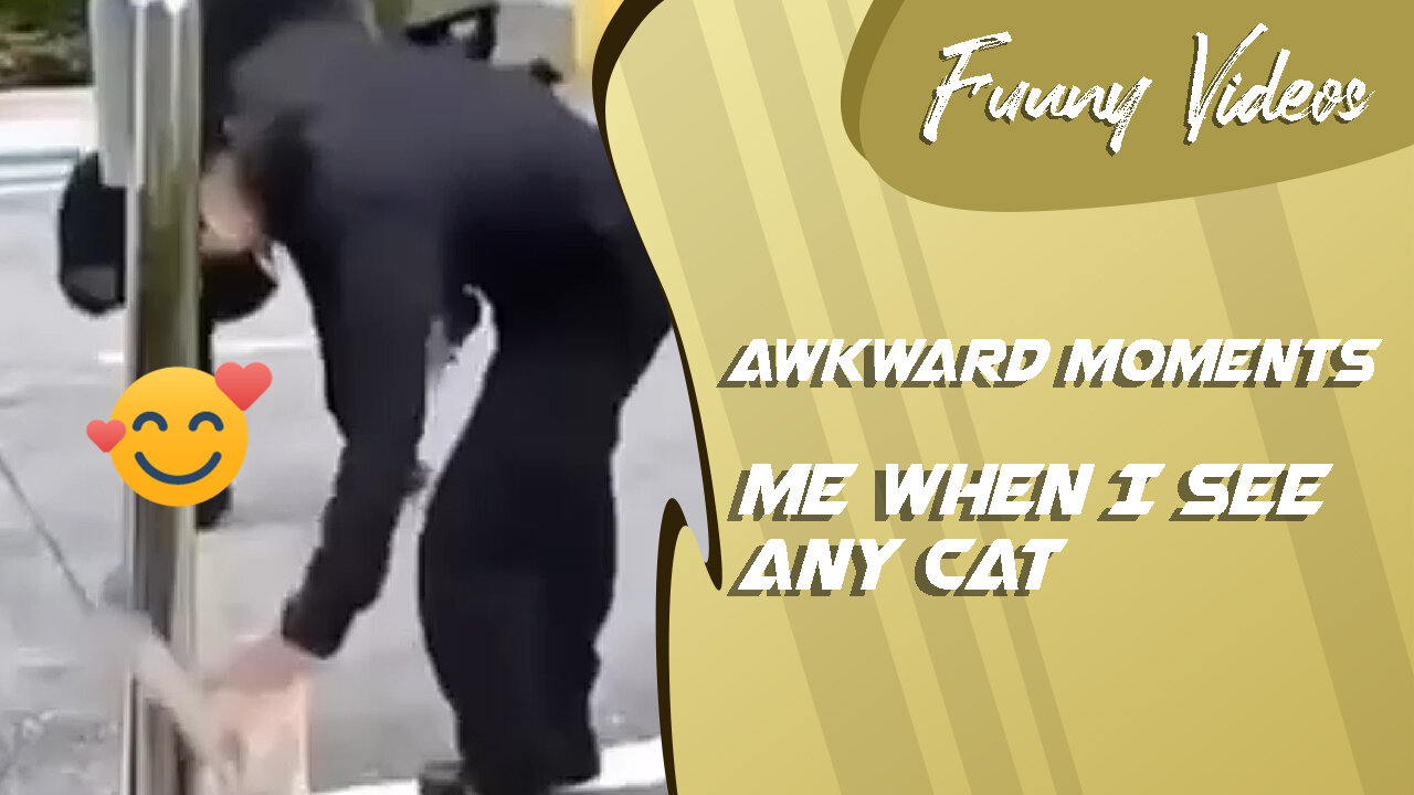 Me When I See Any Cat - Awkward Moment