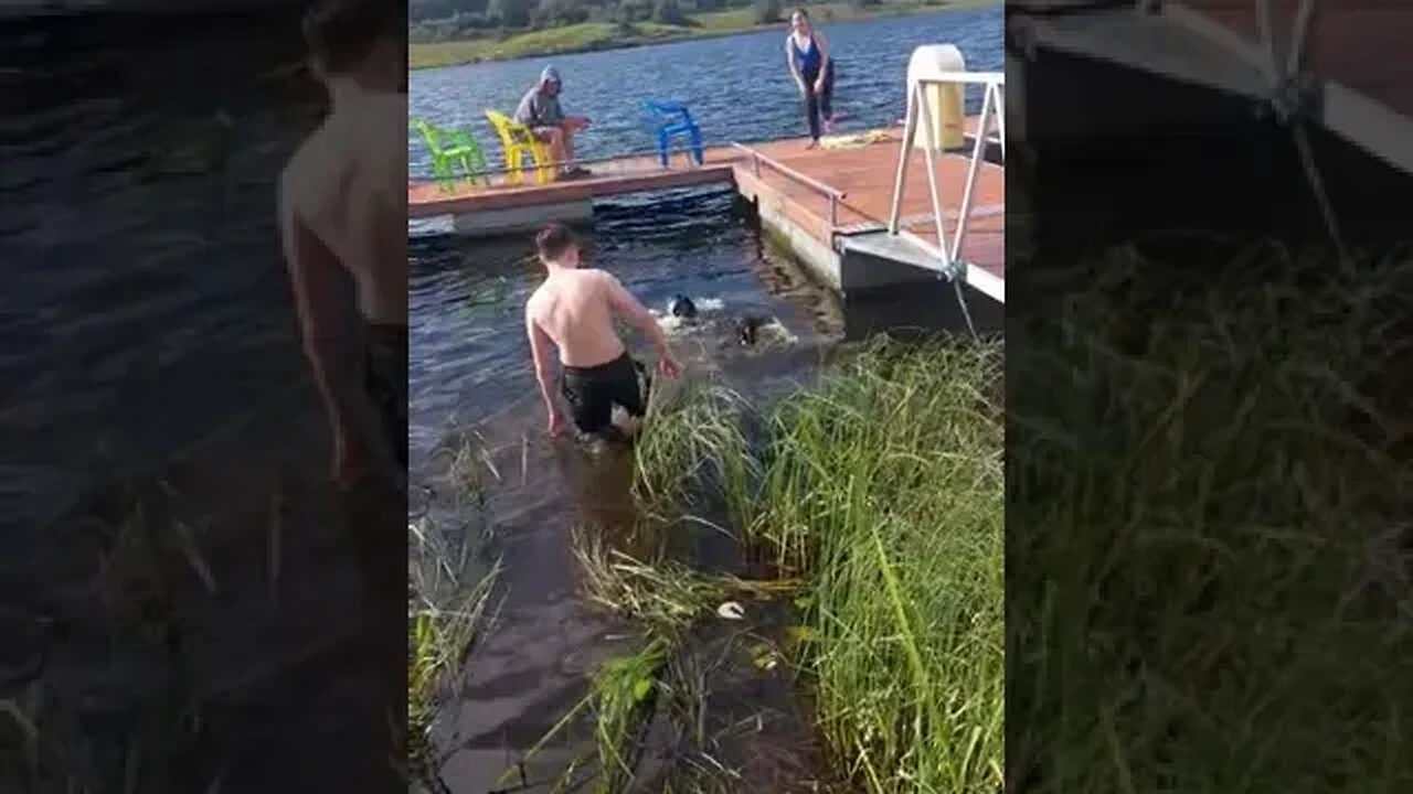 Finn And Brin Having A Dip