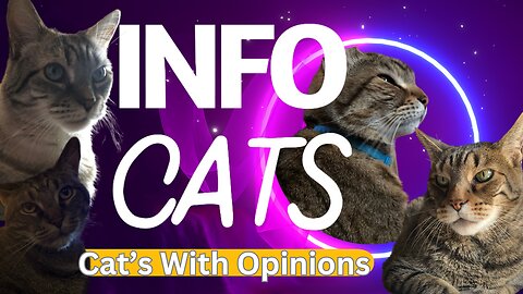 Cat's With Opinions