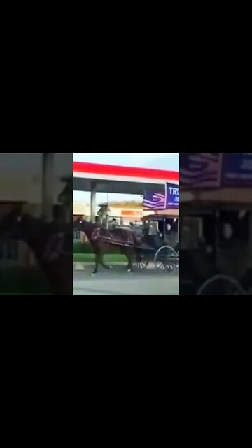 EVEN THE AMISH KNOW!!! 🇺🇸🇺🇸🇺🇸