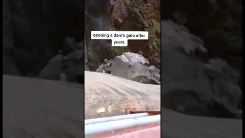 Satisfying Dam Gate Opening 🔥 #131 #satisfying #satisfyingvideo #shorts