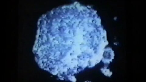 Naesens and Lavesque PhD and Thomas Discuss Somatidian Orthobiology, San Diego, 1994 Pt 2