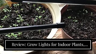 Review: Grow Lights for Indoor Plants, DICCEAO 150W LEDs Grow Light for Seed Starting with Full...