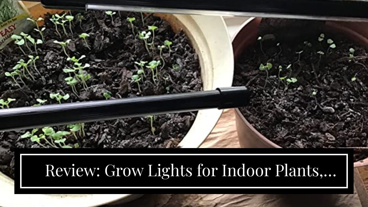 Review: Grow Lights for Indoor Plants, DICCEAO 150W LEDs Grow Light for Seed Starting with Full...