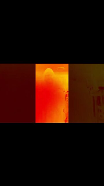 #lofi #ohhighbud #strangedanimal