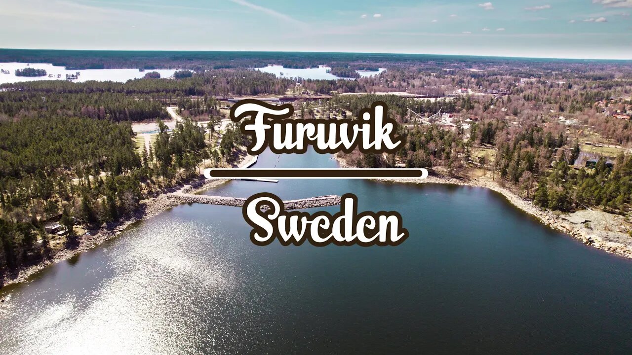 4k | Sweden | Furuvik - (Mute swan, Goosander, Black-throated diver)