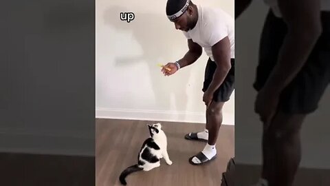 They really can be trained.