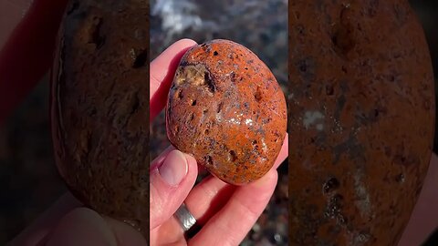 To cut or not to cut… agate found on beach