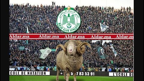 A young child teaches a ram to play soccer professionally