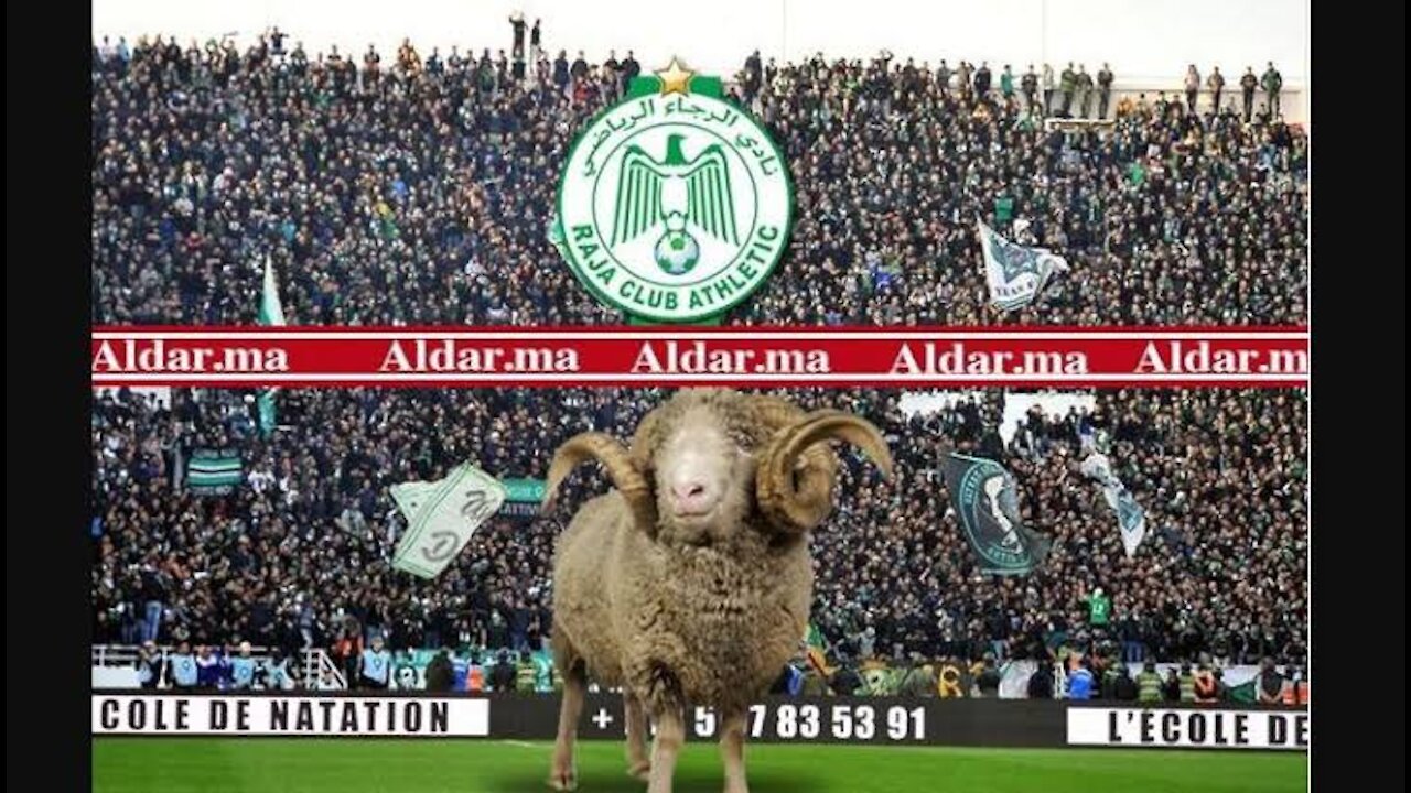 A young child teaches a ram to play soccer professionally