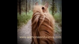 WARHORSE Endurance Conditioning Challenges