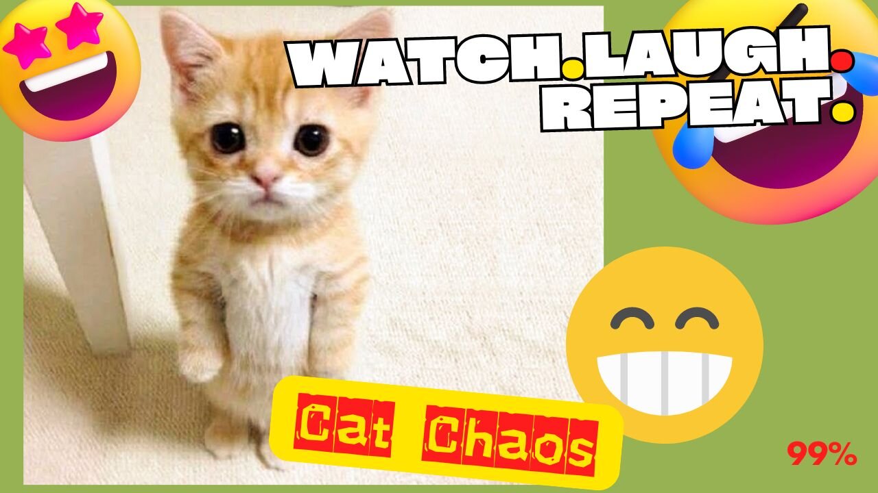 Funniest Cats: Chaos and Cuteness Unleashed!