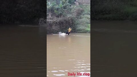 catching fish in the pond, burning fish at the pond bank