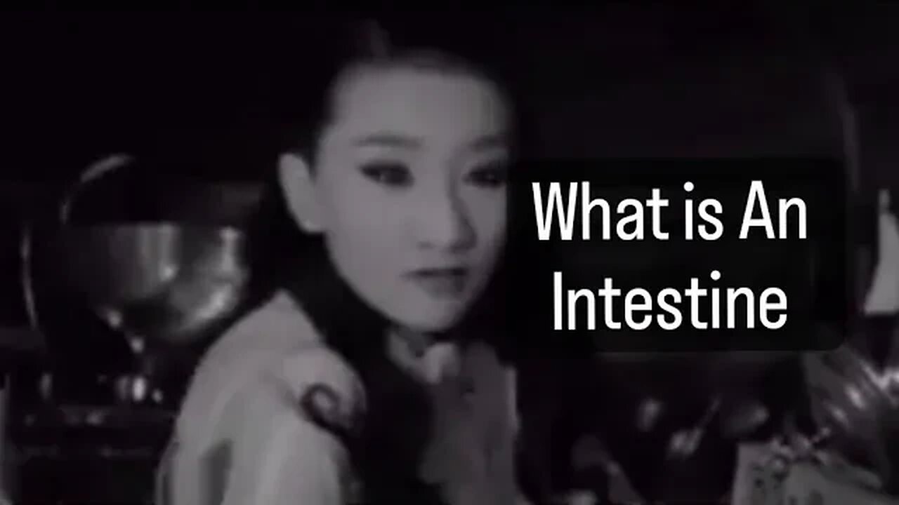 FRANSISCA SAID WHAT IS INTESTINE AND HOW TO GET GOOD INTESTINE -- FRANSISCA OFFICIAL