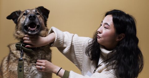 Awoman Talking and Petting a Dog