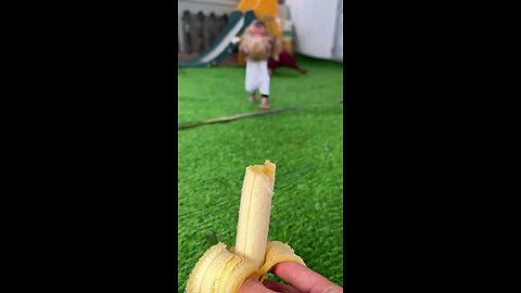 可爱的动物 