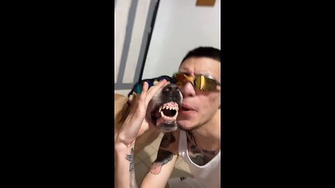 dog