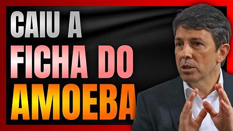 JOÃO AMOÊDO CAI NA REAL e descobre que GOVERNO LULA já é um DESASTRE