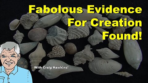 Fabulous Evidence for Creation Found!