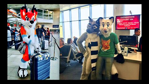 Furries At Airports Used To Attract Children Reader Comments Information War Censorship On Steroids