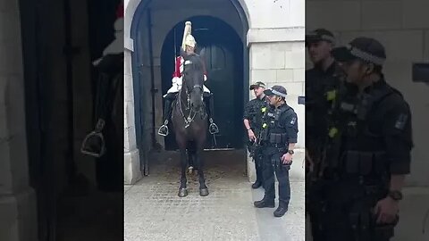 Five shocking moments from tourist involving the king's guards #horseguardsparade