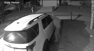 Cars burglarized overnight in Wellington