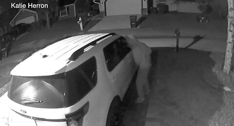 Cars burglarized overnight in Wellington