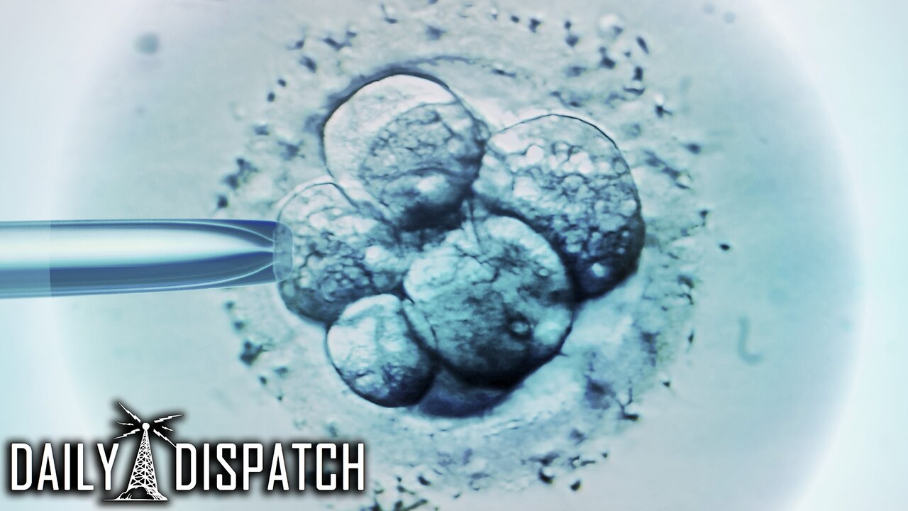 Scientists Create Unholy Abomination That They’re Calling A “Human Embryo” Without Sperm Or Egg