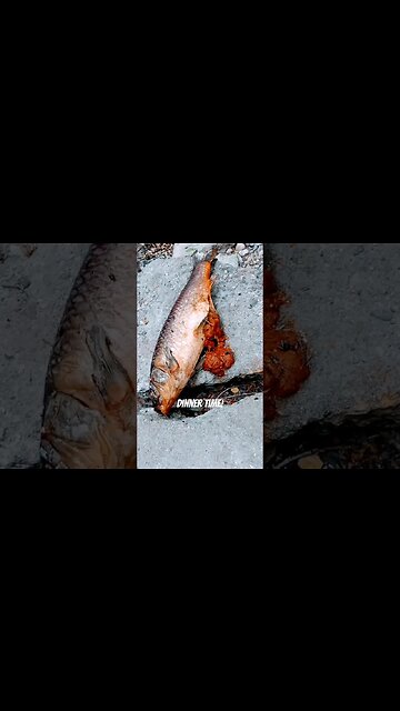I found me some dinner along the river bank. #freedinner #deadfish